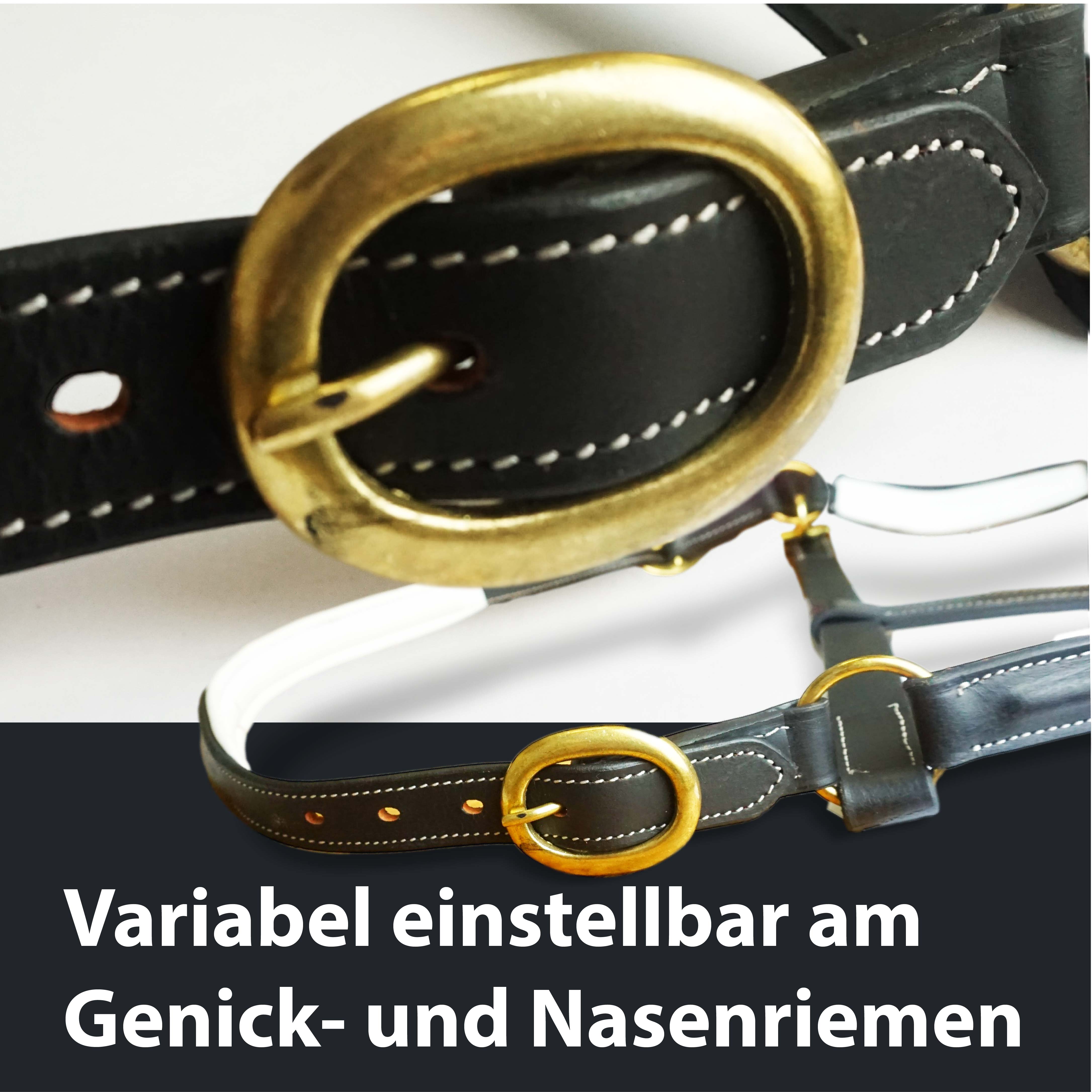 Lederhalfter in schwarz, weiß unterlegt Premium Stallhalfter